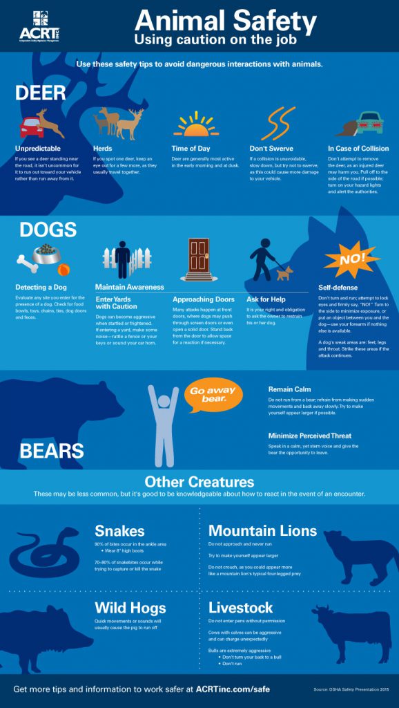 Animal Safety [Infographic] Independent Utility Vegetation Management