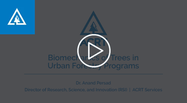Biometrics of Trees