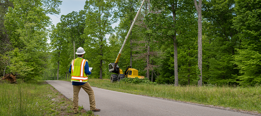 Tree Crew Audits and Assessments: Key Differences and Benefits