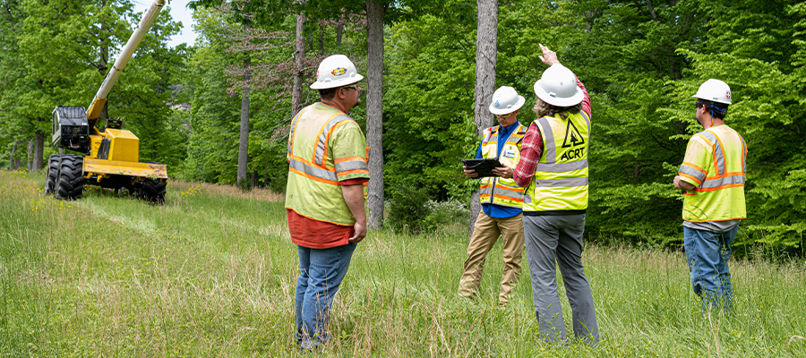 Developing an Effective Safety Audit Program for Tree Crews