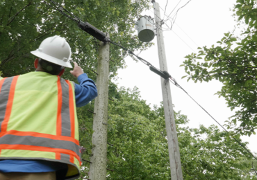 Explore How Utility Arborists Drive Safety, Reliability, and ROI
