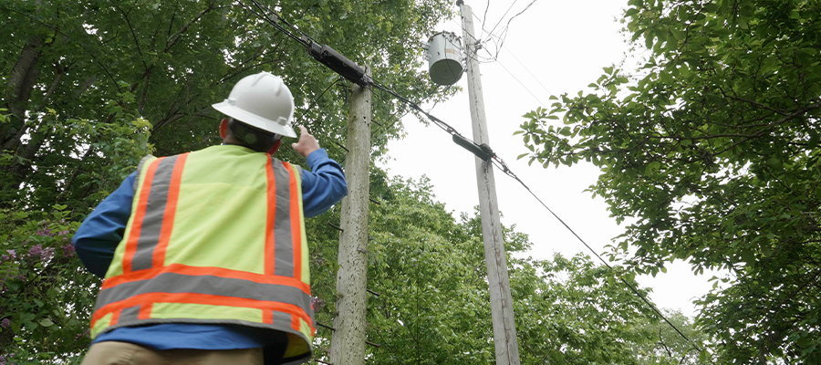 Explore How Utility Arborists Drive Safety, Reliability, and ROI