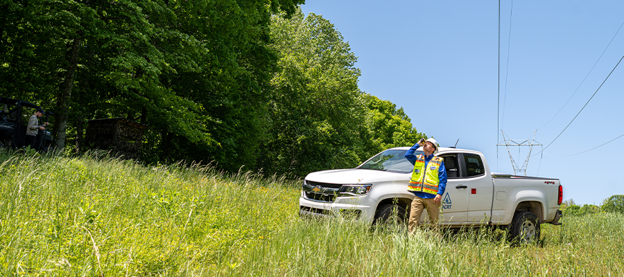 Work Auditing and Utility Foresters in Vegetation Management