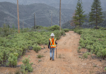 Aligning Safety and Environmental Stewardship Through Culture