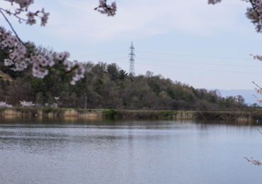 Spring Cleaning Your Vegetation Management Program