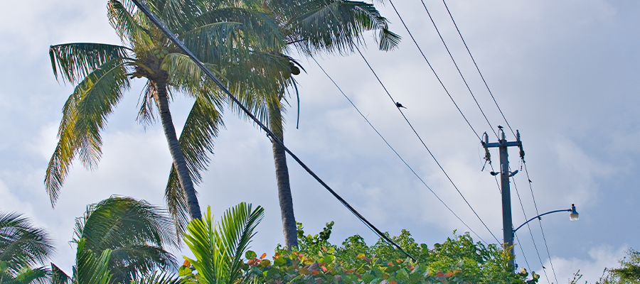Case Study: Transforming Vendor Support into a Strategic Partnership for SECO Energy