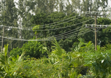 Case Study: From Backup Vendor to Trusted T1 Partner for Duke Energy Florida