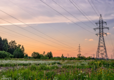 Holistic Resource Management and Integrated Vegetation Management