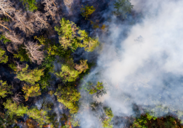 Utility Wildfire Risk Management: When Risk Becomes Liability